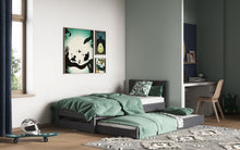 Load image into Gallery viewer, Tera Guest Bed White/Grey With Trundle - Mattress Options Available
