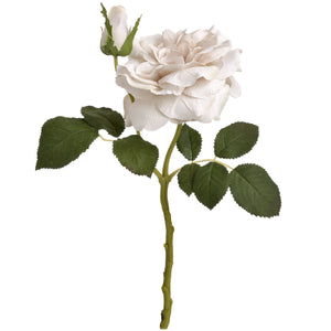 White Short Stem Rose