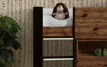 Load image into Gallery viewer, Kids Otis Midsleeper - Available in All White or Urban Rustic And Black - Mattress Option
