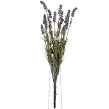 Load image into Gallery viewer, Large Lavender Bush
