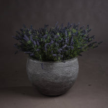 Load image into Gallery viewer, Large Lavender Bush
