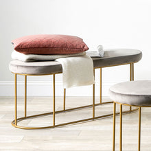 Load image into Gallery viewer, Nino Velvet Bench with Gold Metal Frame - Available in Black, Dove Grey &amp; Tabacco
