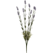 Load image into Gallery viewer, Large Lavender Spray
