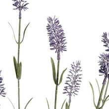 Load image into Gallery viewer, Large Lavender Spray
