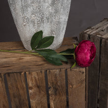 Load image into Gallery viewer, Cerise Peony
