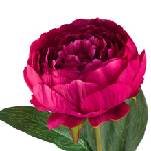 Load image into Gallery viewer, Cerise Peony
