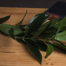 Load image into Gallery viewer, Faux Bay Leaf Spray
