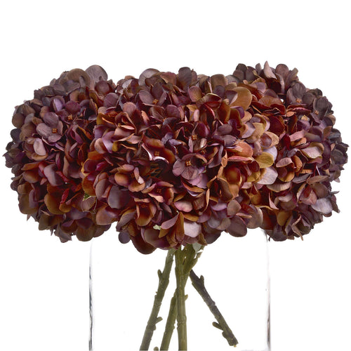 Autum Hydrangea - Available in Burgundy, Coffee, Ruby or White