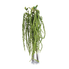 Load image into Gallery viewer, Green Amaranthus
