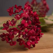 Load image into Gallery viewer, Red Autumnal Viburnum
