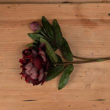 Load image into Gallery viewer, Burgundy Peony Rose
