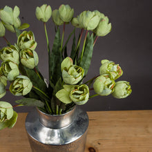 Load image into Gallery viewer, Green Tulip
