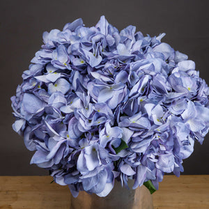 Lilac Hydrangea