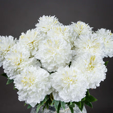 Load image into Gallery viewer, Classic White Peony
