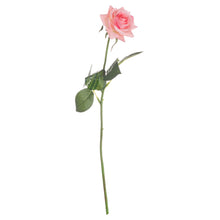 Load image into Gallery viewer, Pink Garden Rose
