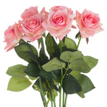 Load image into Gallery viewer, Pink Garden Rose
