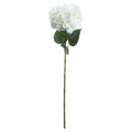 Single White Hydrangea