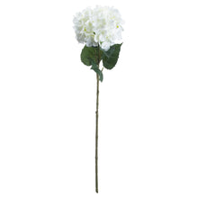 Load image into Gallery viewer, Single White Hydrangea
