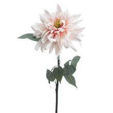 Load image into Gallery viewer, Lush Pink Dahlia
