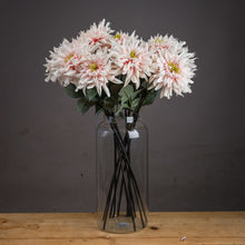 Load image into Gallery viewer, Lush Pink Dahlia
