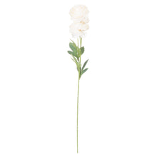 Load image into Gallery viewer, Cream Ranunculus
