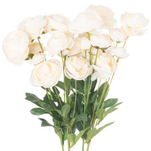Load image into Gallery viewer, Cream Ranunculus
