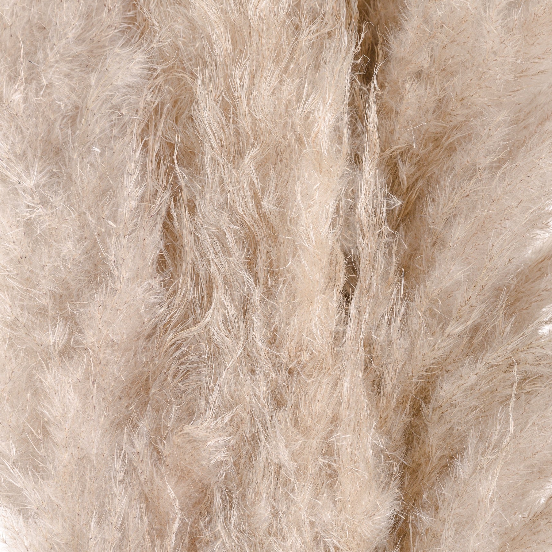 Pampas Grass - Available in Cream or Butter