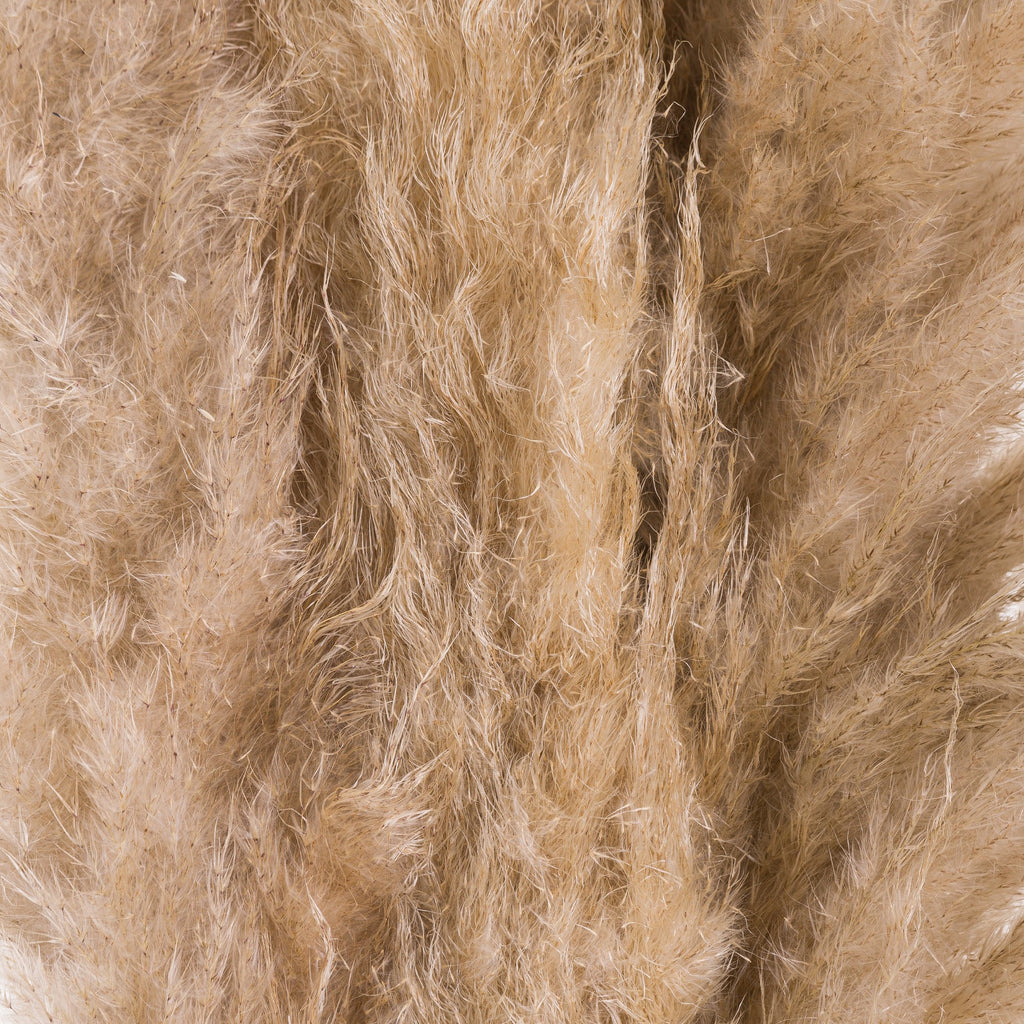 Pampas Grass - Available in Cream or Butter