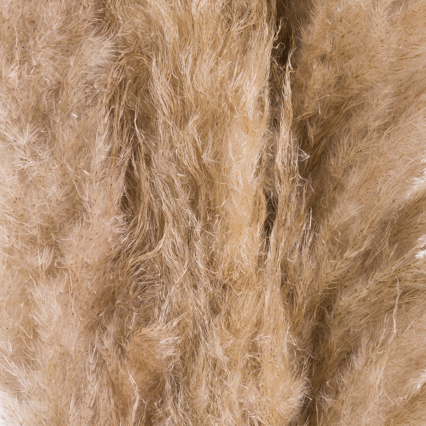 Pampas Grass - Available in Cream or Butter