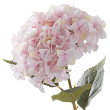 Load image into Gallery viewer, Giant Pink Hydrangea
