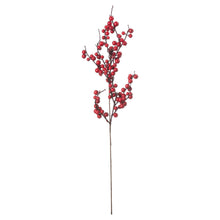 Load image into Gallery viewer, Medium Festive Berry Pick
