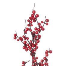 Load image into Gallery viewer, Medium Festive Berry Pick
