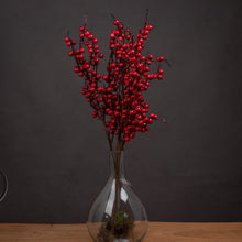 Load image into Gallery viewer, Medium Festive Berry Pick
