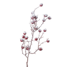 Load image into Gallery viewer, Large Red Festive Berry
