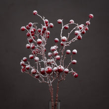 Load image into Gallery viewer, Large Red Festive Berry
