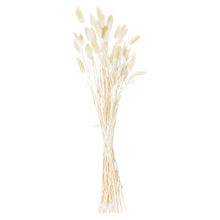 Load image into Gallery viewer, Dried Natural Bunny Tail Bunch Of 40
