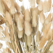 Load image into Gallery viewer, Dried Natural Bunny Tail Bunch Of 40
