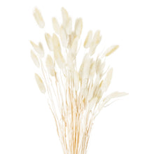 Load image into Gallery viewer, Dried Natural Bunny Tail Bunch Of 40
