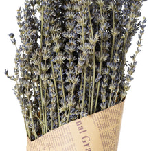 Load image into Gallery viewer, Dried lavender Bunch
