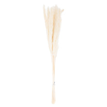 Load image into Gallery viewer, Mini White Pampas Grass Bunch Of 15
