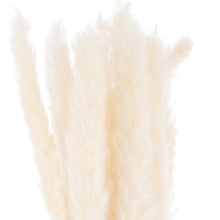 Load image into Gallery viewer, Mini White Pampas Grass Bunch Of 15
