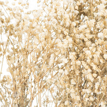 Load image into Gallery viewer, Dried Babys Breath Bunch - Purple,Pink or White Available
