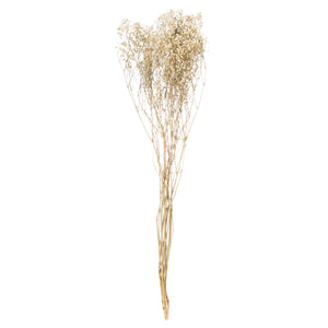 Dried Babys Breath Bunch - Purple,Pink or White Available