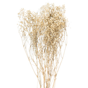 Dried Babys Breath Bunch - Purple,Pink or White Available