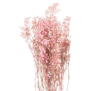 Dried Babys Breath Bunch - Purple,Pink or White Available