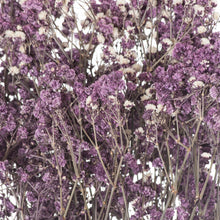 Load image into Gallery viewer, Dried Babys Breath Bunch - Purple,Pink or White Available
