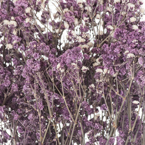 Dried Babys Breath Bunch - Purple,Pink or White Available