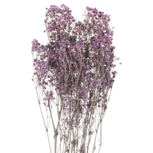 Load image into Gallery viewer, Dried Babys Breath Bunch - Purple,Pink or White Available
