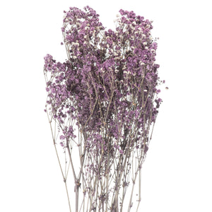 Dried Babys Breath Bunch - Purple,Pink or White Available