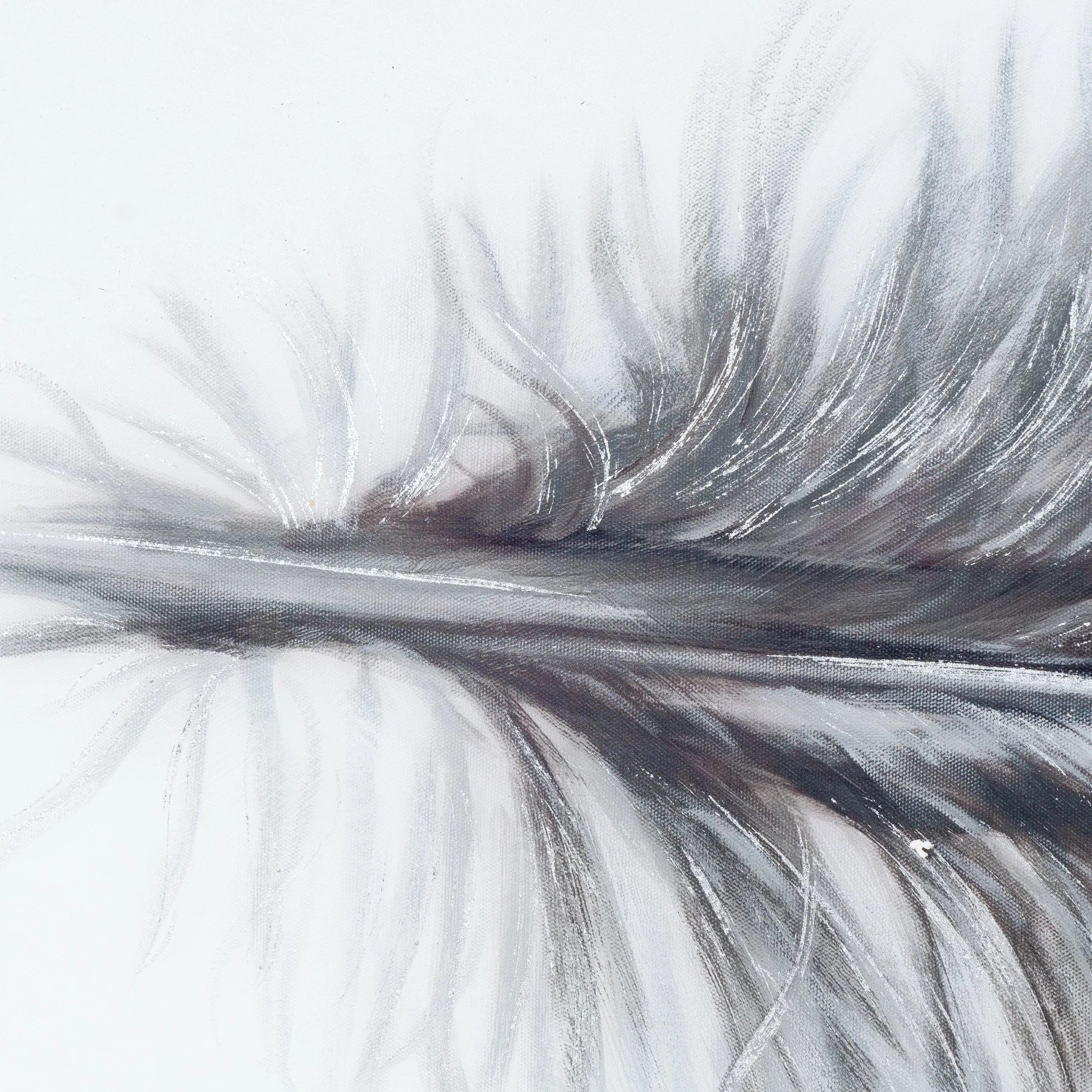 Black Striped Feather Over 3 Black Glass Frames